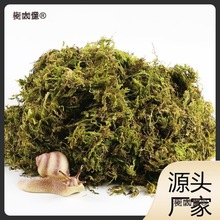 w����΁ţ�I�B����B��Ҭ�����x�|������}�۱���̦�\������̫��
