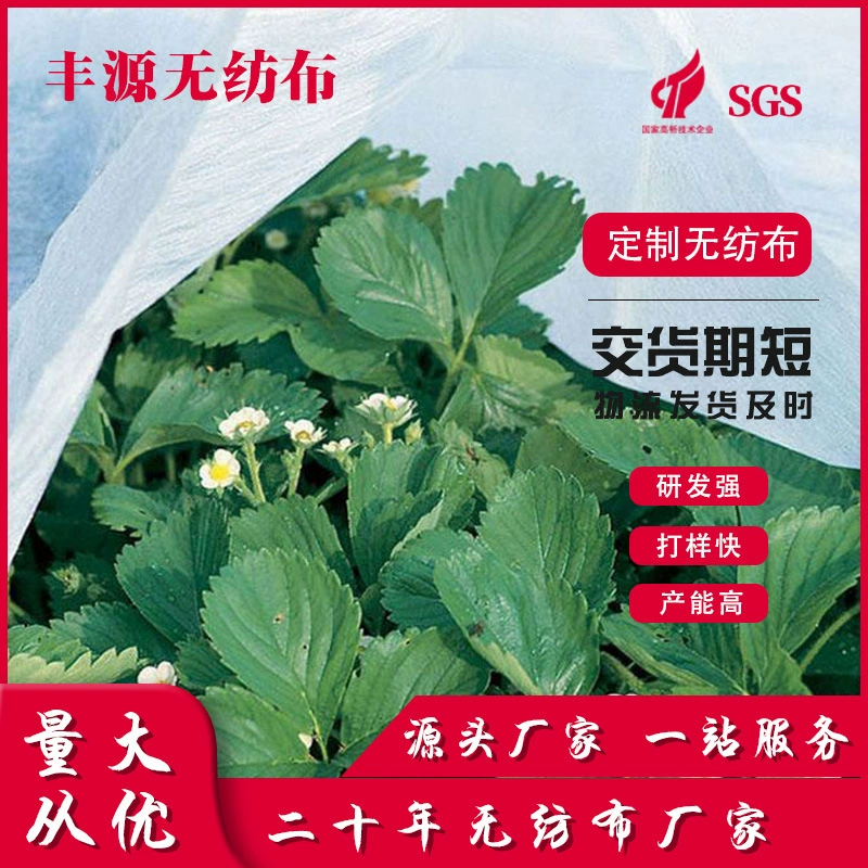 Производитель оптом геотекстиль ландшафтный дизайн геотекстиль производитель строительство обслуживание дорог нетканый материал изоляционная фильтрация