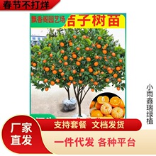 �t���˘���޽Ӑ���28̖������ɰ����38̖���Ә���ͥԺ�̨���Ԙ�