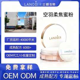 oem贴牌持久控油蜜粉代加工定制遮瑕不脱妆粉饼定妆轻薄散粉工厂