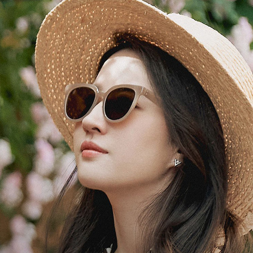 Liu Yifei and Xu Hongdou's same brown sunglasses for women Korean version ins versatile classic face-showing small polarized sunglasses
