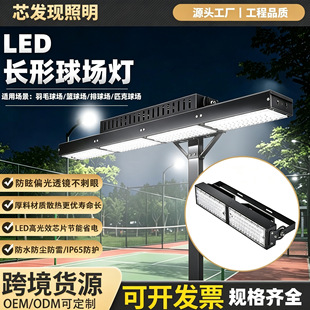 led�W������ʷ�ѣƥ������������ ��ë���ģ�MͶ����ߗU��