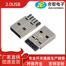 2.0USB A��һ�wʽ�������^���_�z��ɫ�zоL=17.0��늾��ӿ�