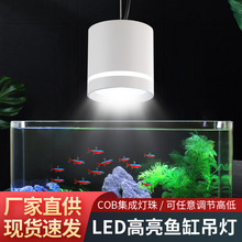 ���Sֱ���~��ˮ��Ͳ��׃ɫ���{�ݸ׌��I��������֧��ledС�͊A��