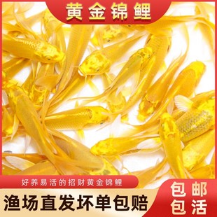 �\���~���~�����^�p�~��ˮ�Lˮ�ͻ��~�����~���~��ˮ����