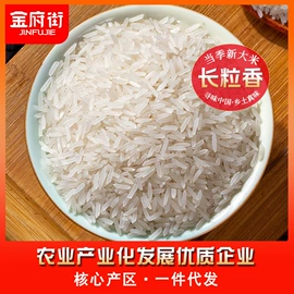 豆类;大米;玉米