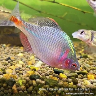 ly���w���Q�~�߲��L���v�����v�����~�R���~ԭ��������ˮ�~�^�p�~