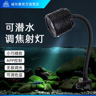 ������WEEK�ɝ�ˮ�{����������~��ԭ���쾰�������ÿ�׃��LED��