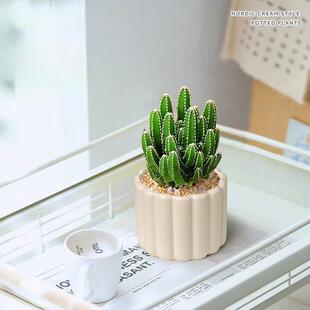 Cactus Potted Succulent Plant for Office Desktop to Attract Wealth, Easy to Care For, Drought-Tolerant Small Green Plant