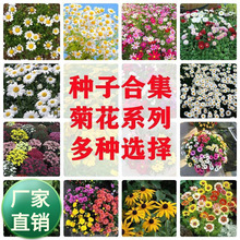 ˹ջNӸɣNѻɫļN_׳ɻͥԺͥ@ˇ