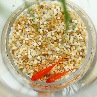 500�˺�ɳ��Ȼ��ɳ�~�׵�ɰ�쾰ɳ��䁵�ˮ��ɳˮϴ�Sɳ�Ӻ�ʯ��