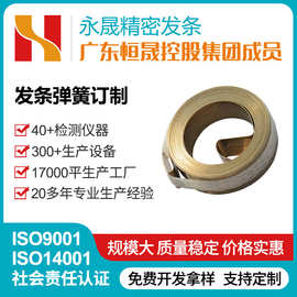 SUS301不锈钢涡卷发条定制电吹风卷簧收缩发条弹簧小卷尺发条