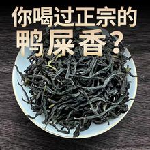 鸭屎香凤凰单枞茶乌龙茶潮州凤凰单丛茶蜜兰香茶大乌叶茶叶袋装厂