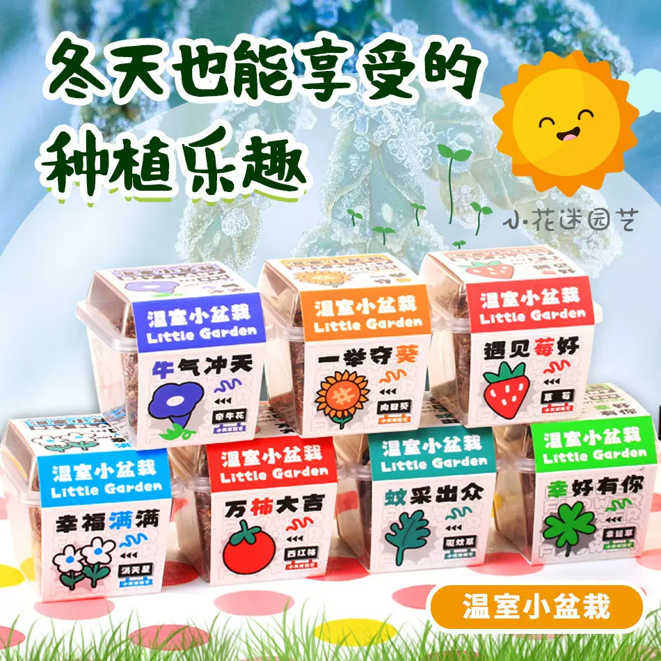 创意植物盲盒盆栽开学季礼物办公种植花卉种子小学生桌面绿植盆栽
