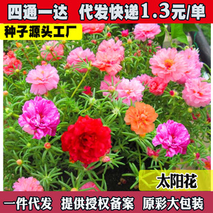 �ذ�̫ꖻ����N���ļ����N�_���׳ɻ���̨�҃������绨�ܷN��