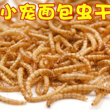 面包虫干批发黄粉虫仓鼠用品粮食零食刺猬鱼鸟饲料龟粮鸟食1kg