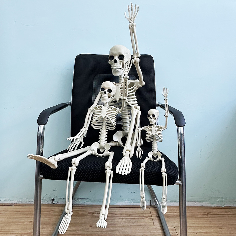 Helovīna simulācijas skeleta apdares kulonu butaforijas plastmasas cilvēka galvaskausa skelets var stāvēt locītavu kustīgs skelets_voghion.com