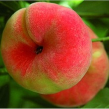 �ش��ͺ� ��Ҙ��������t���� ����������õ��޽��箔��Y��