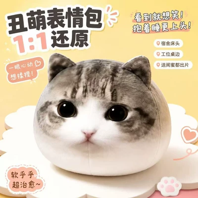 Oyuncaq yastıqlar cat pillow, a stress-relief