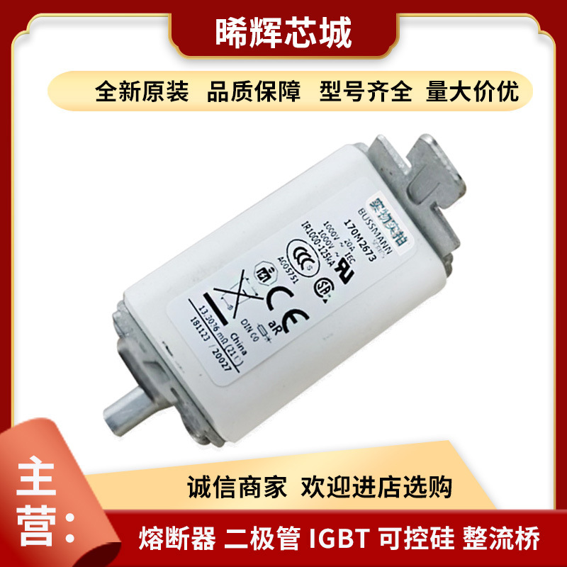 现货170M2673 170M2675 圆柱形熔断器全新原装规格齐全电子元器件