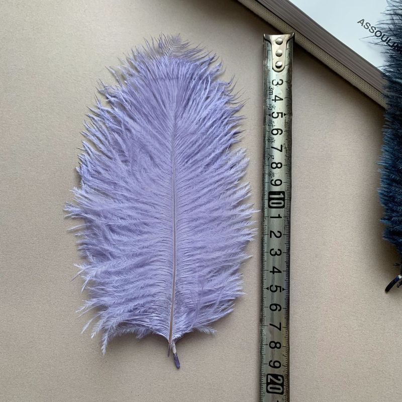 跨境现货真鸵鸟羽毛掸子辅料家用除尘扫灰神器防静电灰尘清理装饰|undefined
