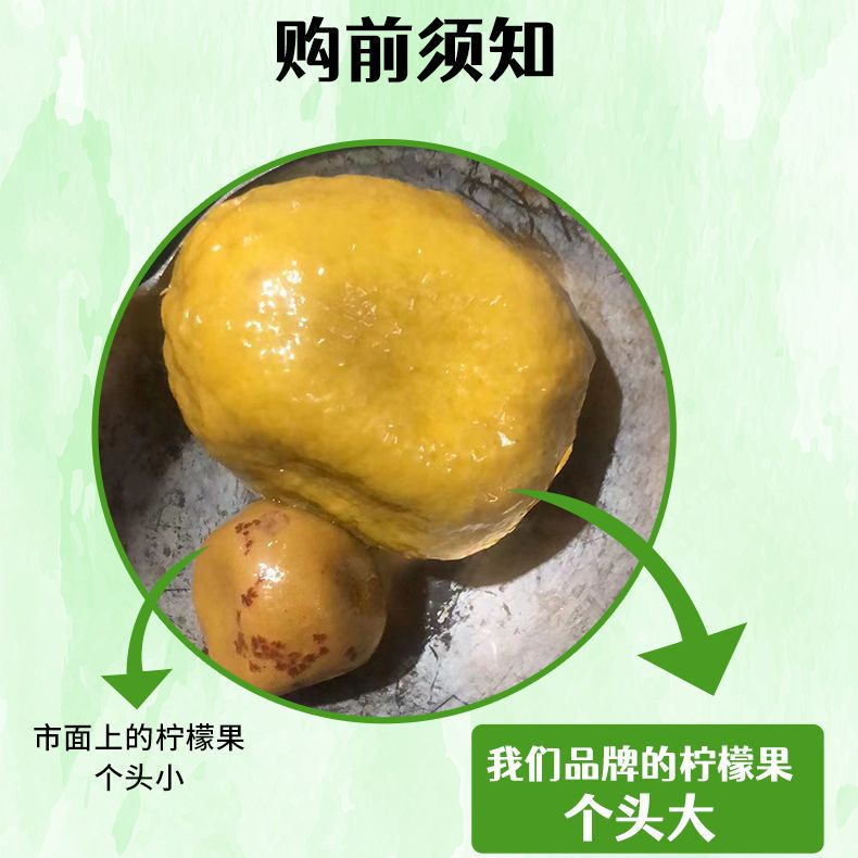 Double Smile Guangxi Sour and Salty Lemon 4 lbs Pack Li Qi Noodles Honey Lemon Duck Ingredients Soaking Preserved Lemon Fruits Acid