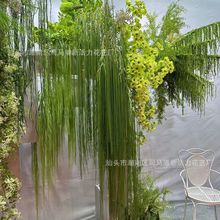 ������ѿ�Gֲ���������ٻ����ϻ����~��֦�l�Gֲ�[���b�ˇ���l