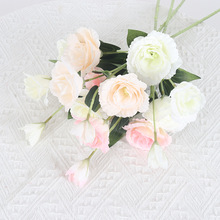 ^۹SֱNcYüҾbٻ滨ˇQ