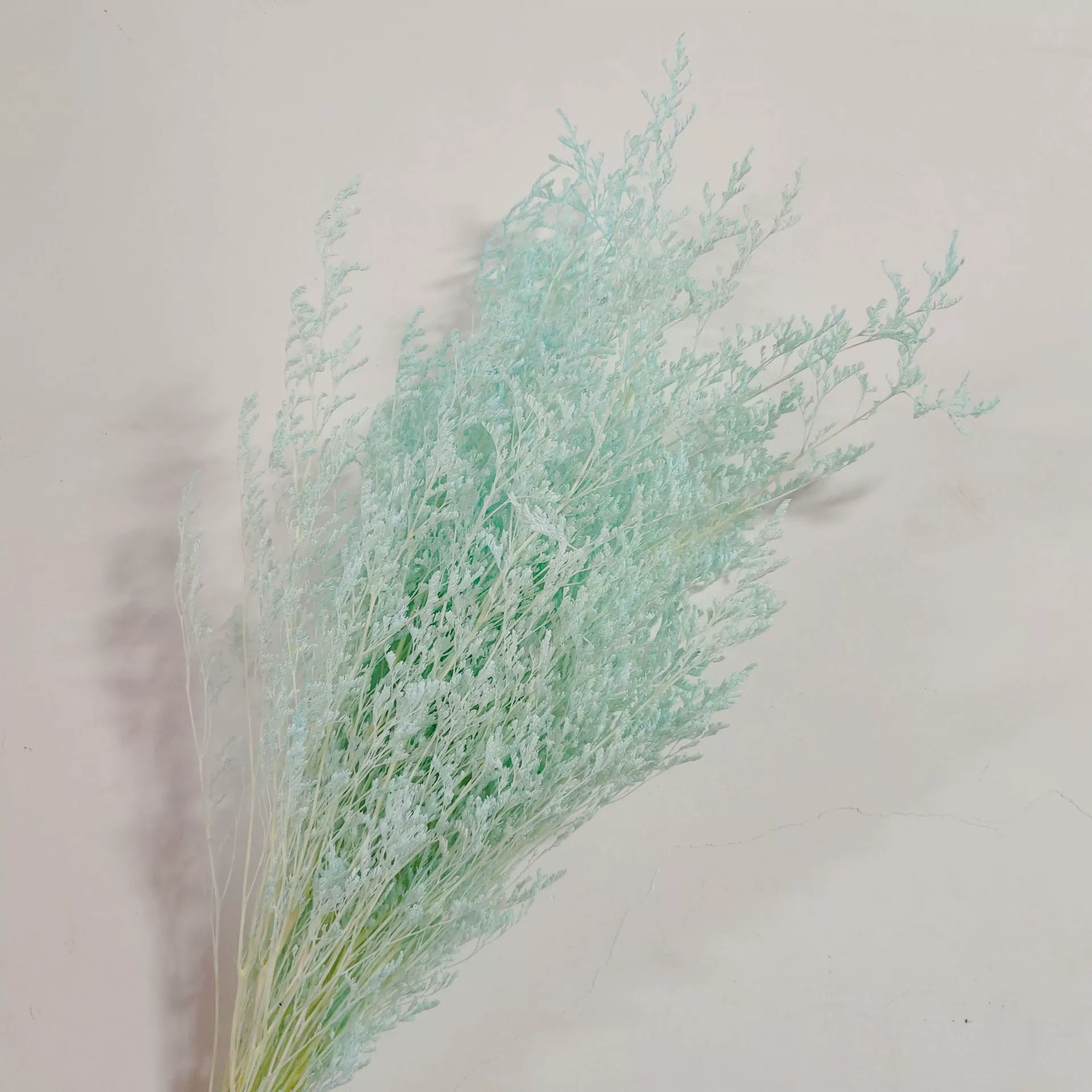 Вечная жизнь — букет сушёных цветов Baiya Grass для домашнего декора, белые лагурусы, букет для влюблённых, свадебное оформление