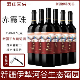 �½����ѾƸߙn��ϼ��ɼt13�ȸɼt���Ѿ�750ml*6������a���x