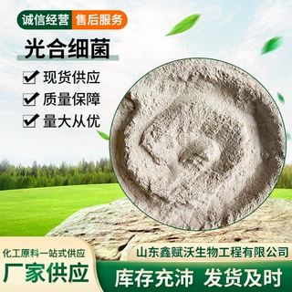 光合细菌100亿 水产养殖净化水质 现货供应 光合细菌粉
