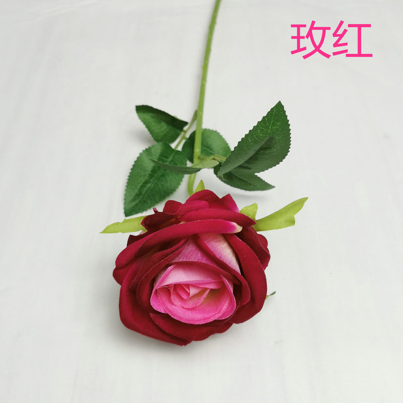 로즈 레드