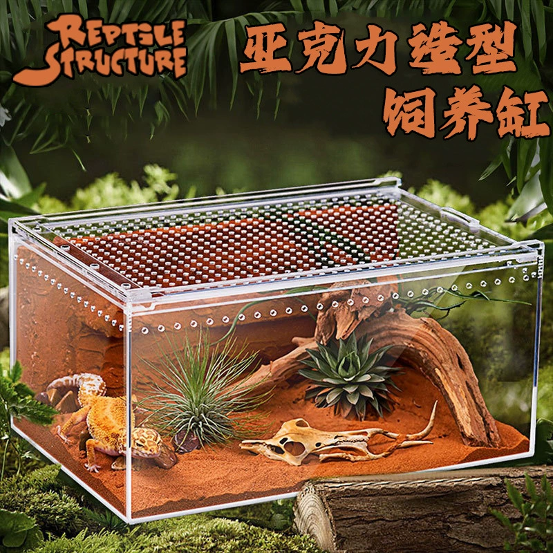 Акриловая форма лазает дворцовая ящерица Коробка для разведения пустыни