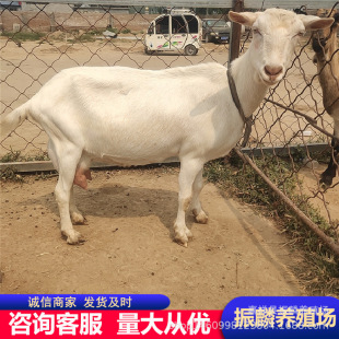 ɽ���؅^�Bֳ�_����ɽ�����ĸ��N����С�����е���