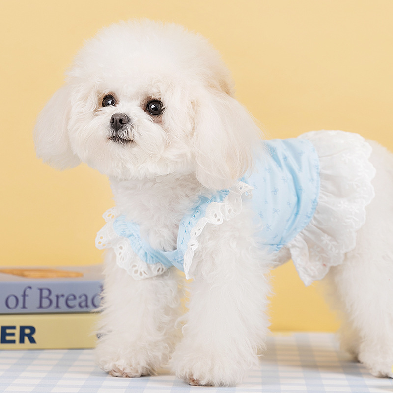Perro de hadas estampado con una falda de mariposa de cabina pequeña que osos Teddy verano sale vestido de princesa delgada ropa de perro image 1