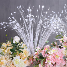 孔雀花 孔雀花品牌 图片 价格 孔雀花批发 阿里巴巴