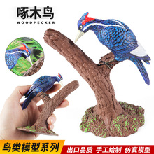 �羳�����w���B�վľ��ľ�B��ͯ�J֪�����b�ˇƷ�[���J֪���k