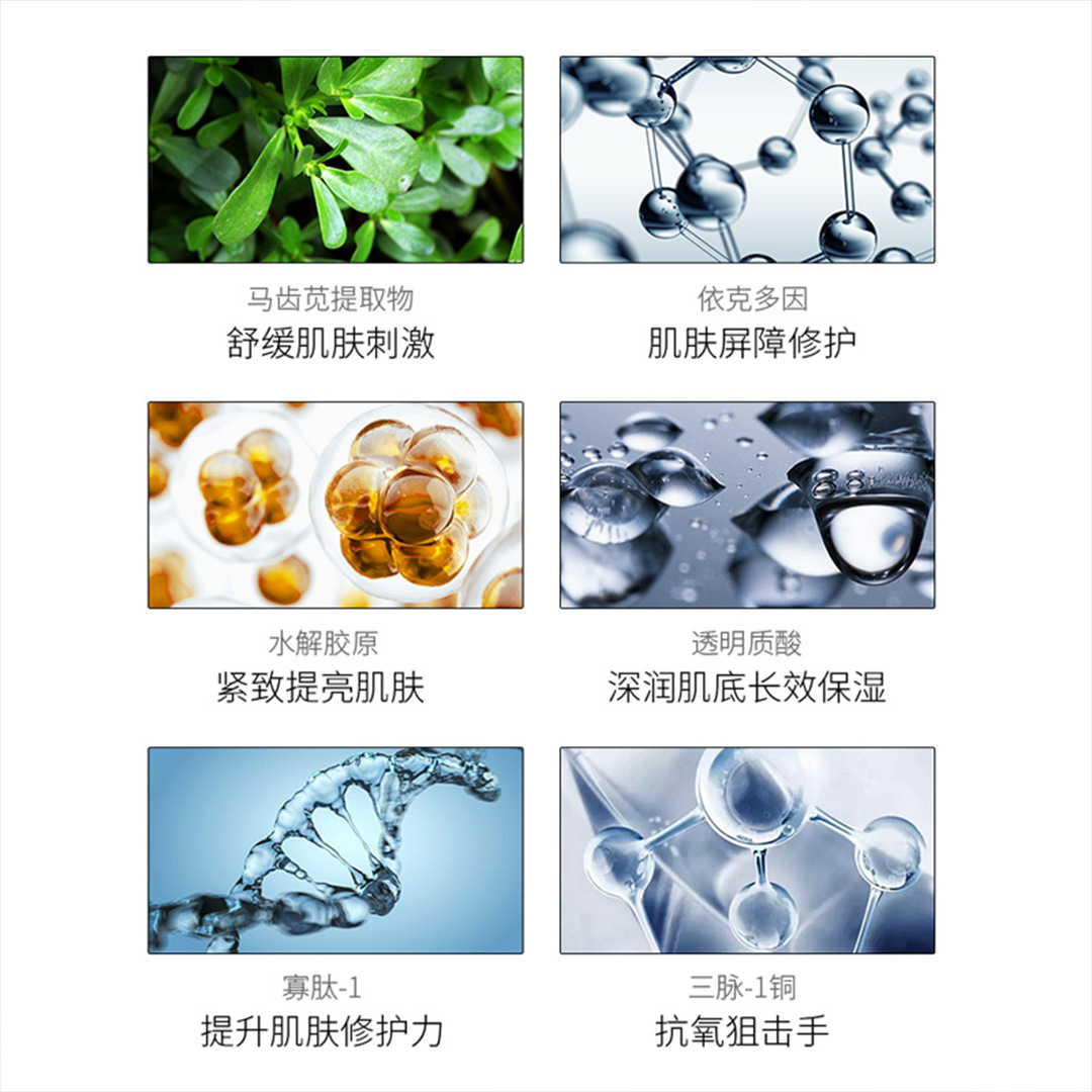 sublimated collagen