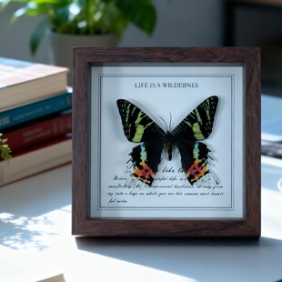 ̫ꖶ�����˱����l����[��С��Ʒ�b����Ҿ�ˇ�g�[����ˇƷ