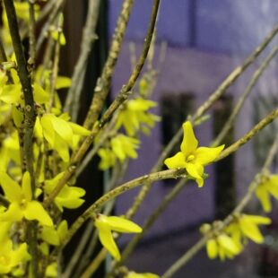 ӭ�������绨���B�N���I�B����ͥԺ�̨�����Ե��� ���B