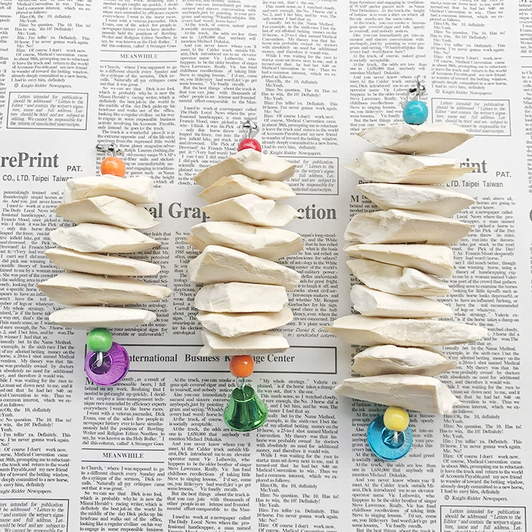 Черная кость каракатицы черный феникс из тигровой кожи пион попугай с кальциевым моляром