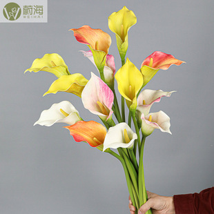 �ٻ����滨3D�W�y�R��ɏС̖�羳���Q�Ҿ��bzӰ�����ָ����l