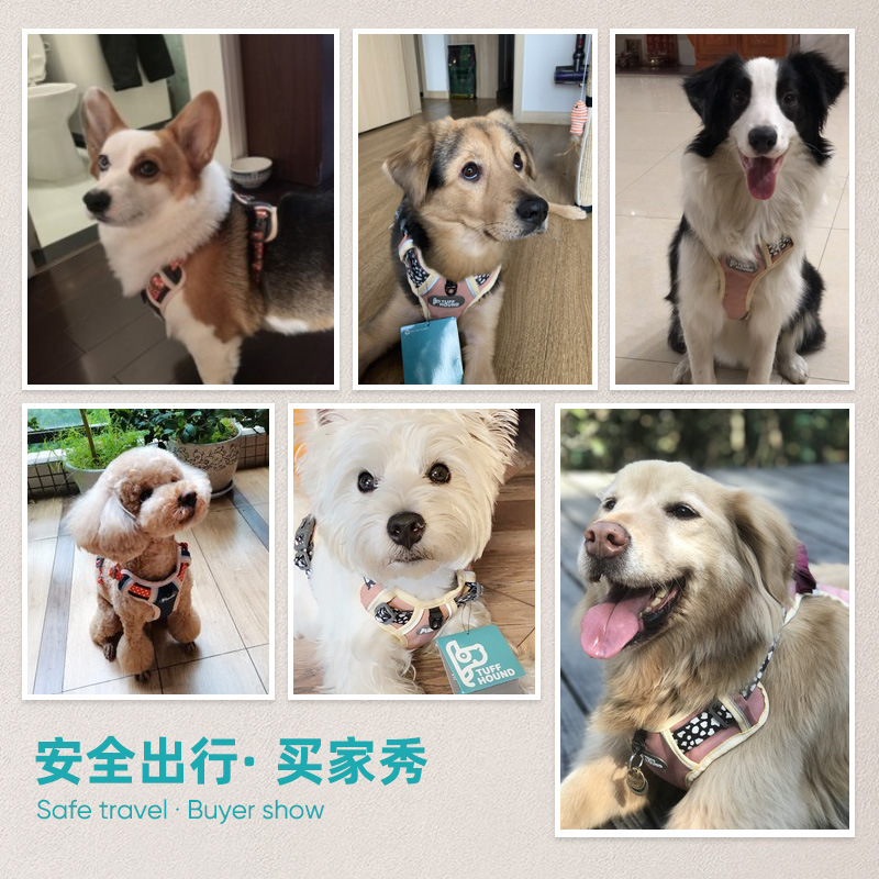 TUFFHOUND宠物胸背带背心式胸背带牵引绳狗绳小型犬批发宠物用品