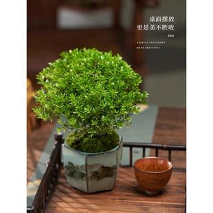 С�~������ԾGֲ�҃ȿ͏d���B�ļ����������՚����^�մ��Ϙ�����