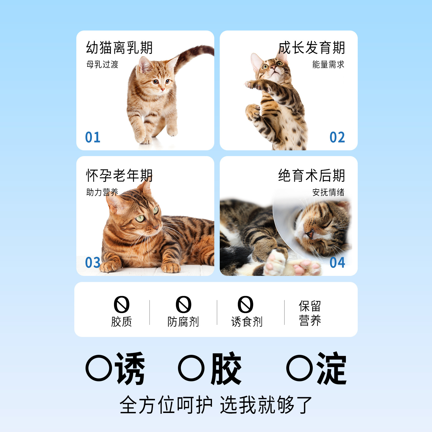 Aperitivos para gatos Pipitao WOW Leche de cabra Paquete de comida nutritiva Sopa de pollo Hidratante Gatos jóvenes para aumentar la grasa y las branquias Comida húmeda para gatos