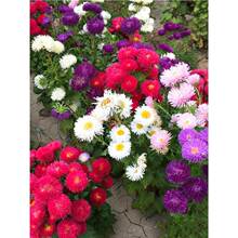 ���U��շN�Ӳ��N�_���ܷN�������̨ͥԺ�׷NС�r�ջ��ѻ��N