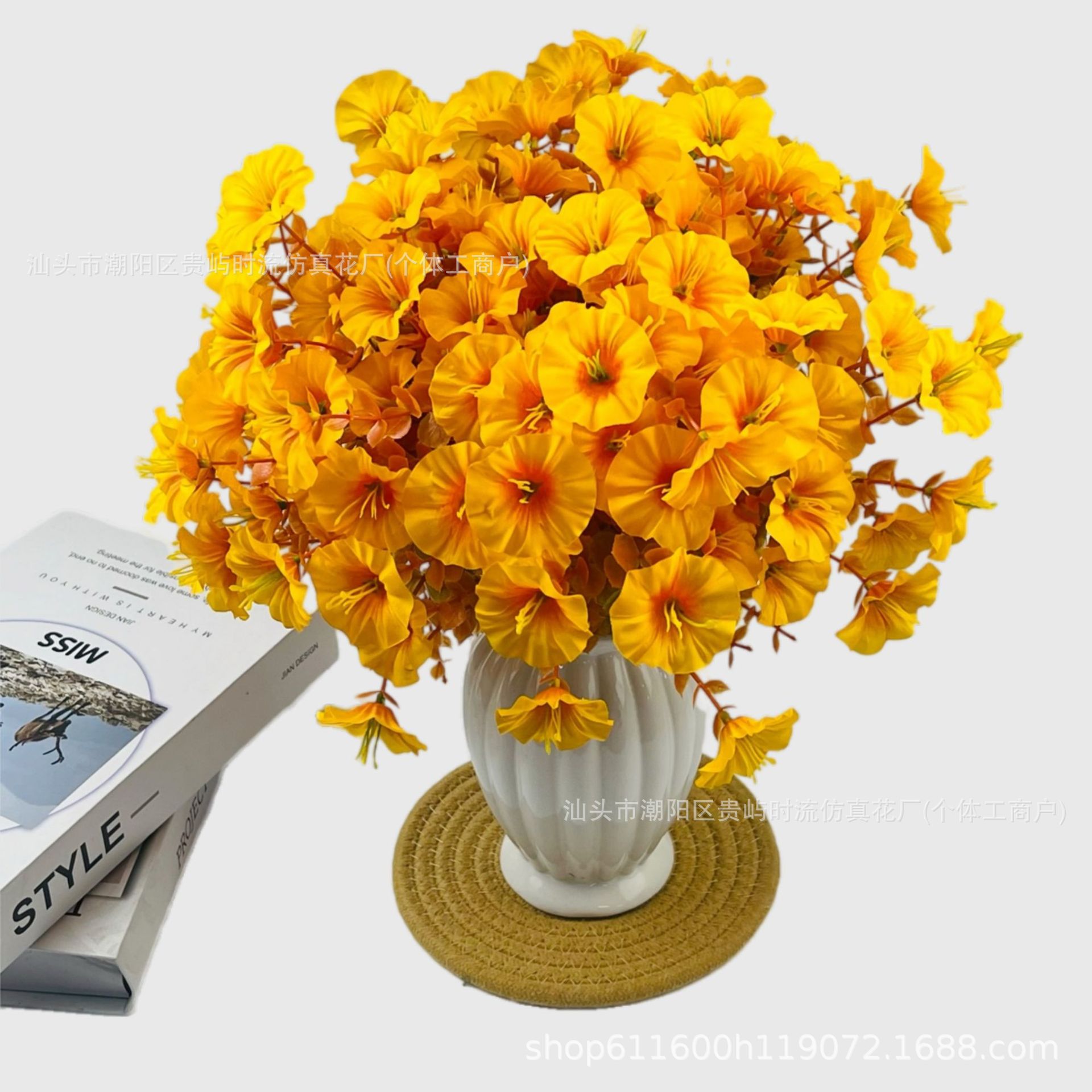 가을 붉은 나팔꽃-노란색