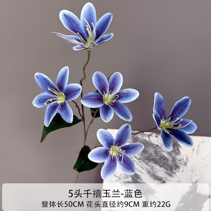 밀레니엄 목련