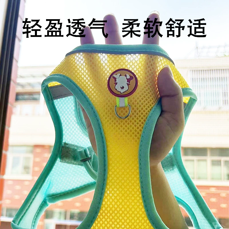 Ремень для собачьей поводка для собачьей поводка для собачьей груди Тедди Корки Щенок для собачьей цепи