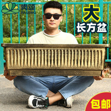 �L���λ���N�������軨���L�l�߲˷Nֲ�������̨����